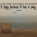 It Sings Because It Has a Song