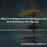 mind magnet opportunity attract abundant life powerful heart brain choose fear change focus responsible success control ability instinct gut reject