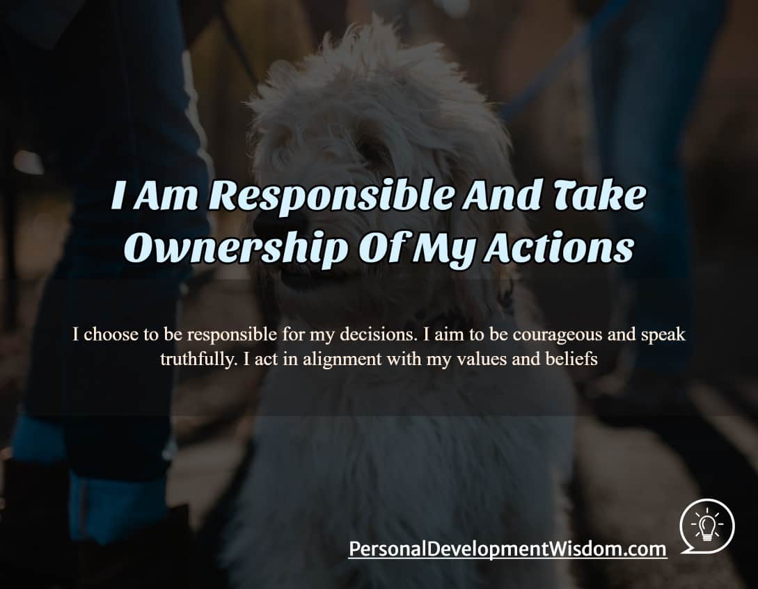 responsible ownership action owe mistake learn choice wrong apologise correct behaviour immediate respond situation admit correct